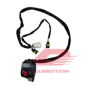 QJ SRV 550 ST ANAHTAR MARŞ SAĞ V4