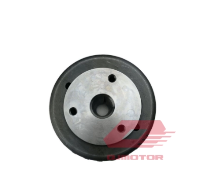 QJ SRK 125 S MANYETO TASI S13