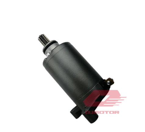 QJ SRK 125 S MARŞ MOTORU S12