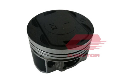 QJ TRX 12 PİSTON T9