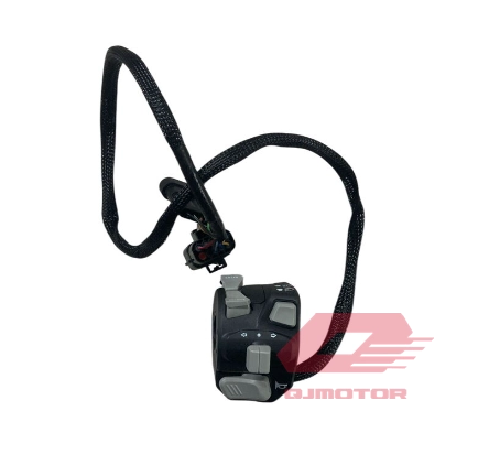 BAROSSA ADV 125 ANAHTAR SİNYAL SOL V8