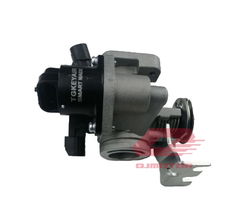 QJ VPS 125  LTM 125 GAZ KELEBEĞİ KOMPLE A V30