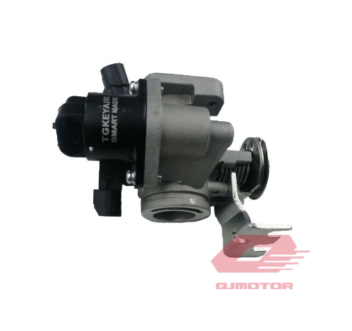 QJ VPS 125 GAZ KELEBEĞİ KOMPLE B V30