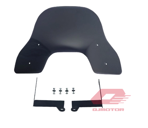 QJ VPS 125  LTM 125 ÖN CAM C301