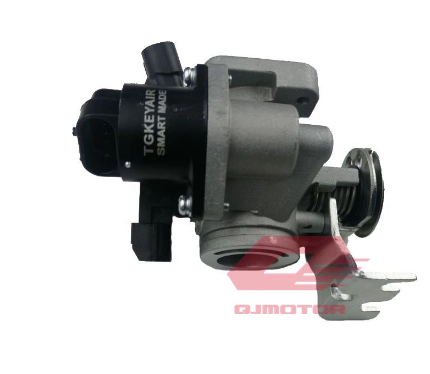 QJ VPS 125  LTM 125 GAZ KELEBEĞİ KOMPLE A V30