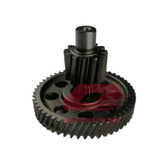 QJ VPS 125 DEFRANSİEL DİŞLİSİ V14